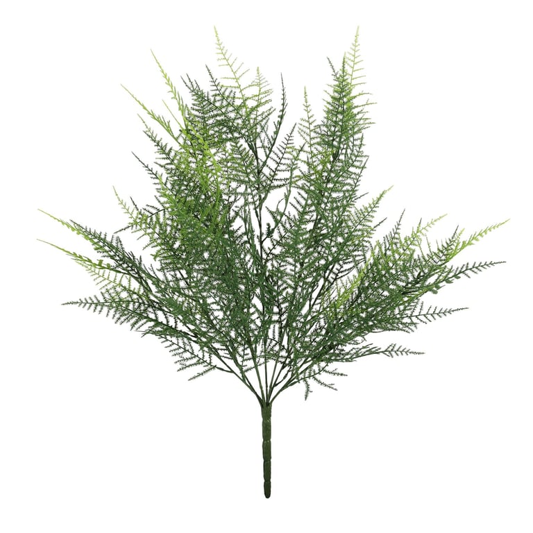 UV Exterior Junglist Asparagus Bush - Durable Outdoor Plant for Home Garden Decor and Landscape Gardening Protection