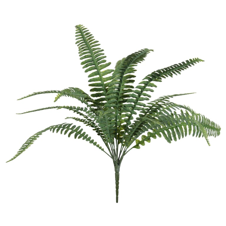 UV Boston Fern 48cm Indoor Plant - Perfect Greenery for Home & Garden