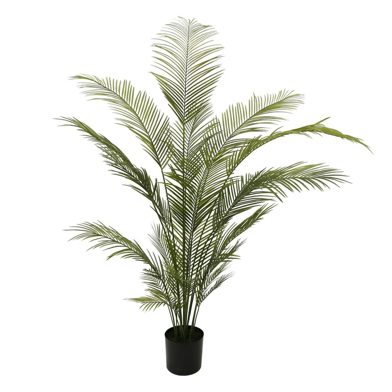 Botanica Areca Palm - 180cm Tall Indoor Tropical Large Potted Plant