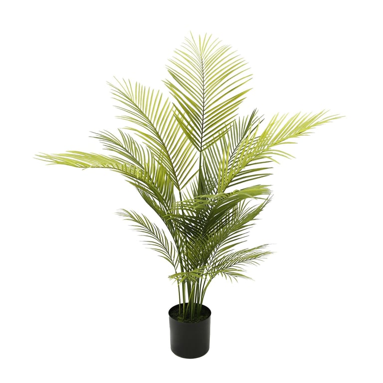 Botanica Areca Palm - 129cm Tall Indoor Plant for Home & Garden