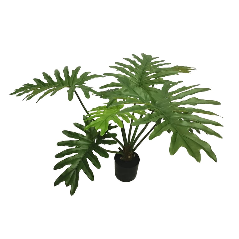 Botanica Philodendron Plant - 92cm Indoor Houseplant in Decorative Pot