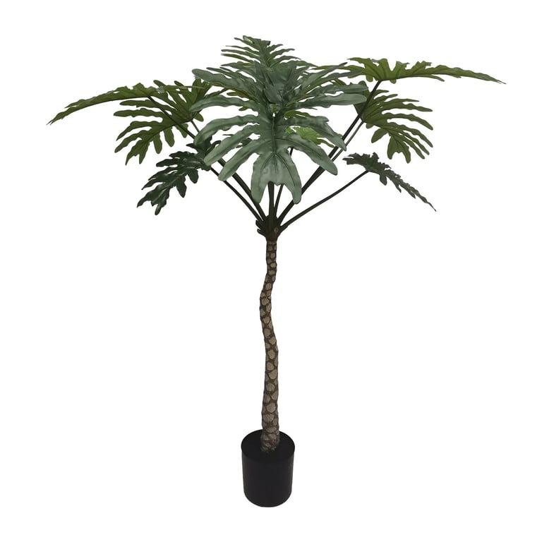 Botanica Philodendron Large Indoor Plant in 160cm Pot - Green Home Decoration