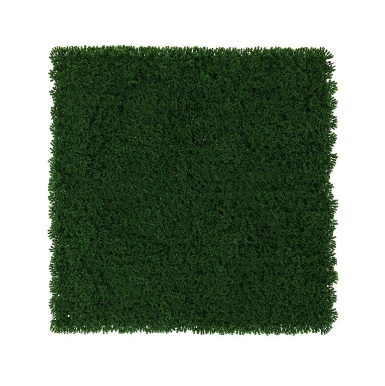 Dark Green Exterior Moss Wall - Eco-Friendly 50x50cm Home & Garden Decor