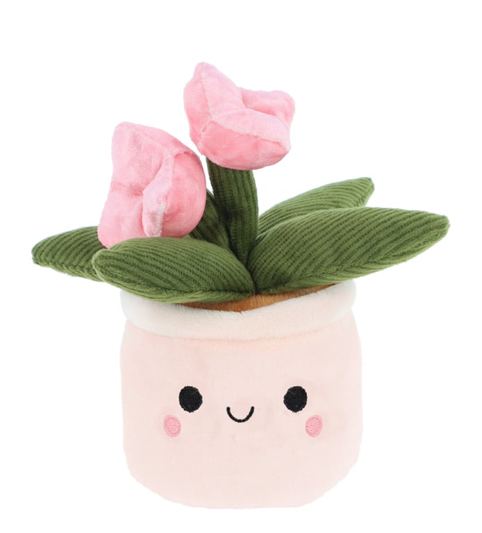 Plant Bobballs 12cm Assorted Indoor Plant Decorations & Garden Balls