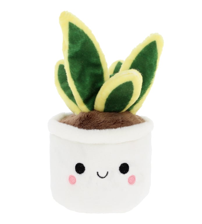 Plant Bobballs 12cm Assorted Indoor Plant Decorations & Garden Balls