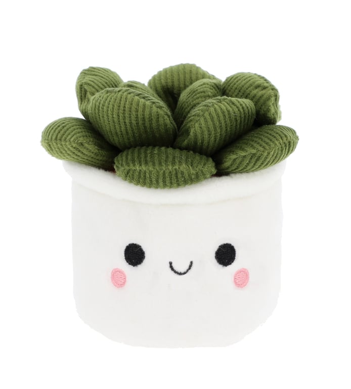 Plant Bobballs 12cm Assorted Indoor Plant Decorations & Garden Balls