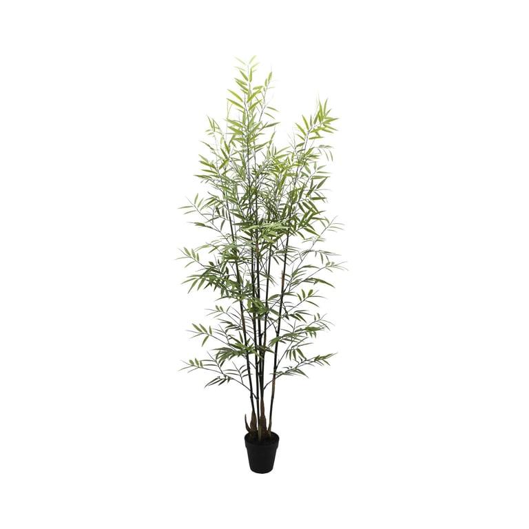 UV Botanica 152cm Tall Indoor Bamboo Plant - Elegant Botanical Decor for Home and Garden