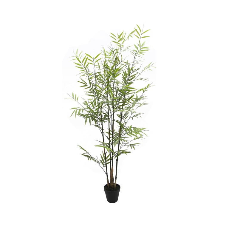 UV Botanica Bamboo Plant - 121cm Tall Eco-Friendly Indoor Houseplant Decor