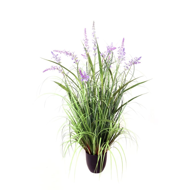 Potted Lavender Grass - 106cm Tall, Fragrant Home Garden Decor Plant
