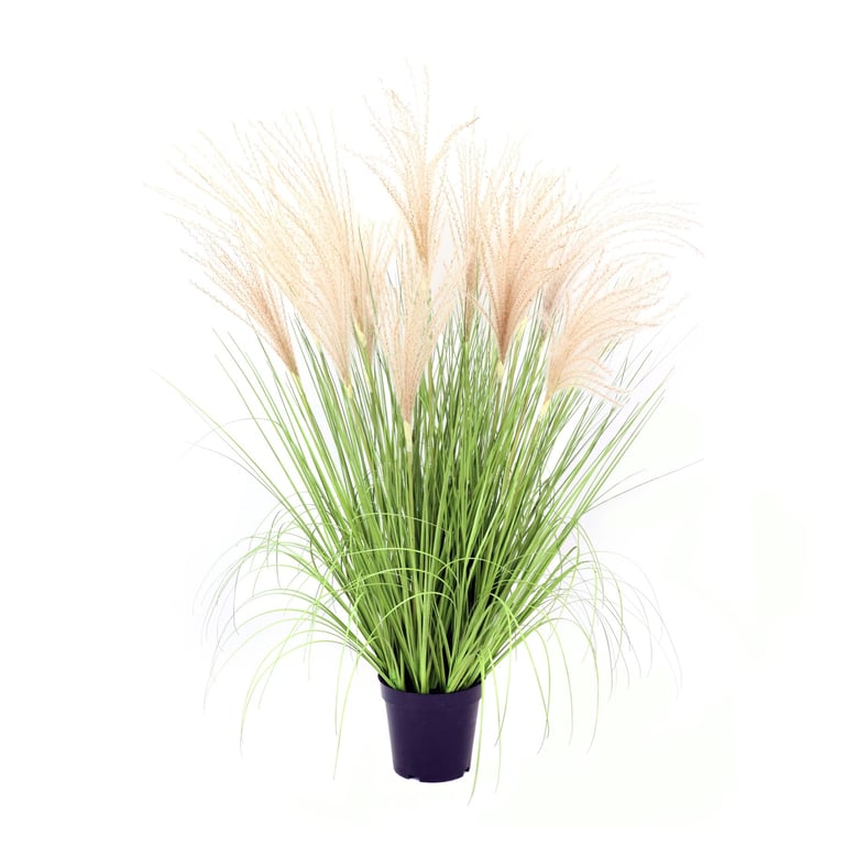 86cm Potted Pampas Grass - Fall Foliage & Winter Greenery, Home Garden Decorations