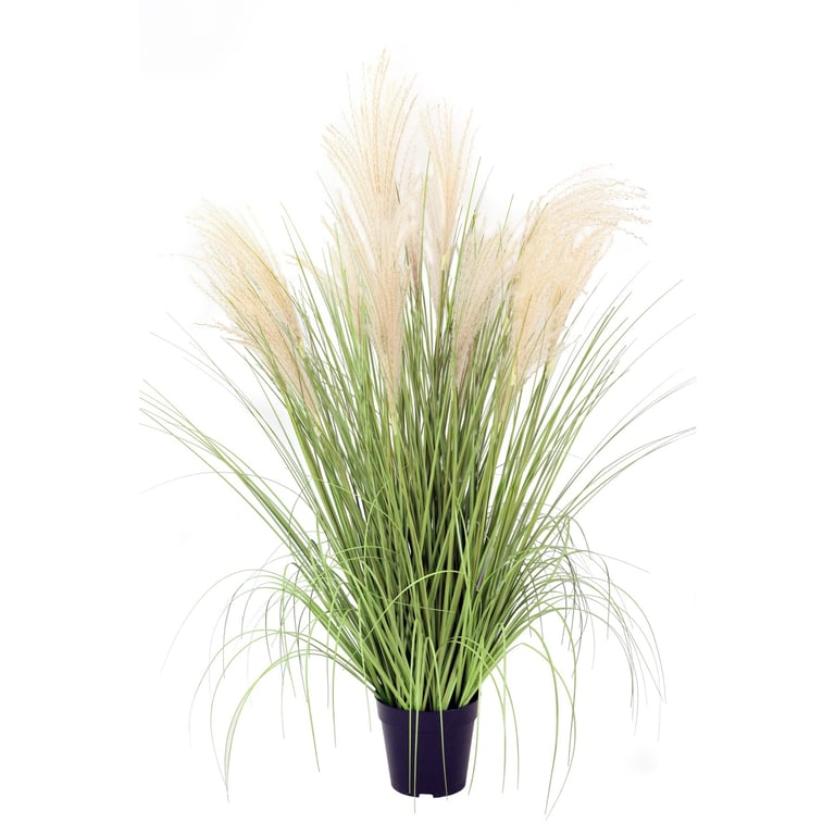 Potted Pampas Bush (99cm) - Beautiful Home Decor and Garden Decoration