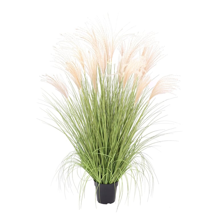 Potted Pampas Bush - 121cm Indoor/Outdoor Garden Decoration Plant