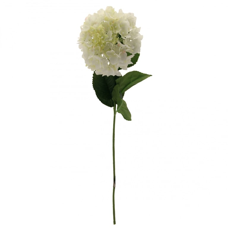 Hydrangea Cream - Anti-Aging Hydrating Face Moisturizer & Skincare Beauty Cream