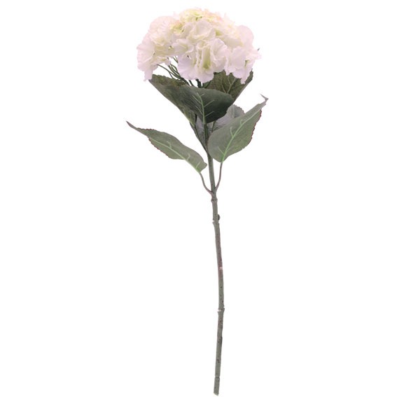 Hydrangea Anti-Ageing Hydrating Skincare Moisturizing Cream