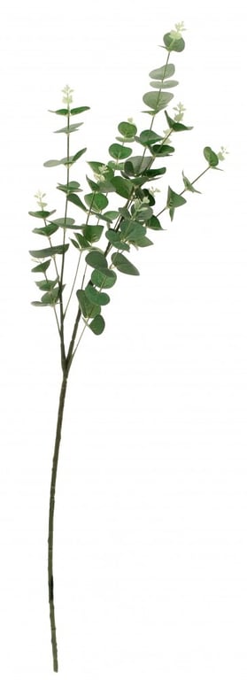 Eucalyptus Green 91cm Indoor Houseplant, Home Decor Plant with Fresh Green Foliage