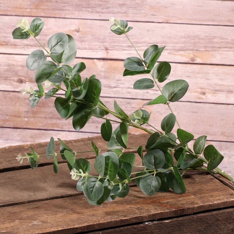 Eucalyptus Green 91cm Indoor Houseplant, Home Decor Plant with Fresh Green Foliage