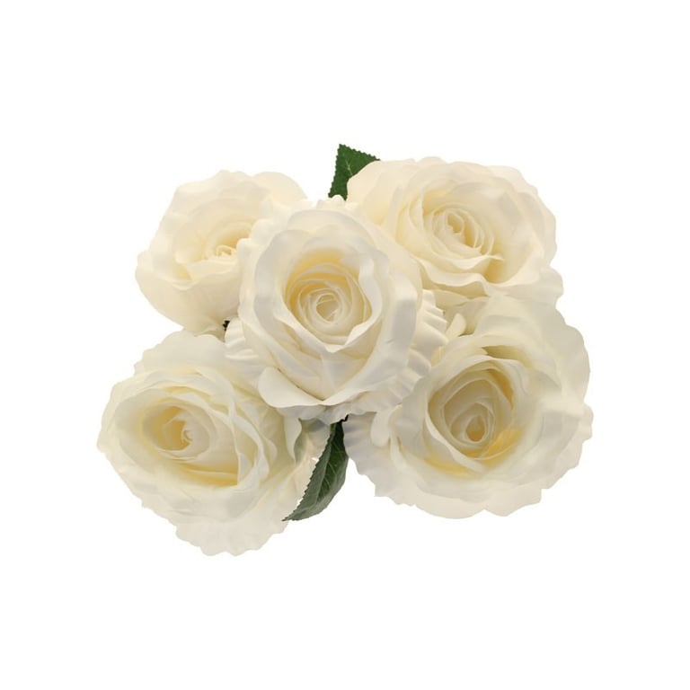 King Rose Bunch in Cream - Fresh Long-Stemmed Cream Roses for Wedding Flowers & Home Decor