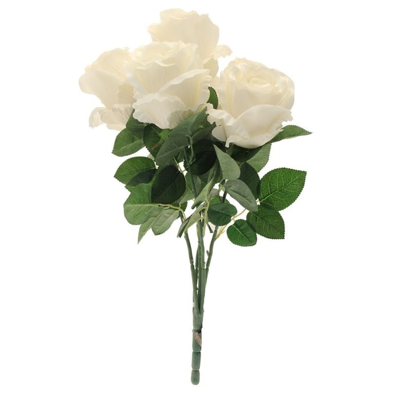King Rose Bunch in Cream - Fresh Long-Stemmed Cream Roses for Wedding Flowers & Home Decor