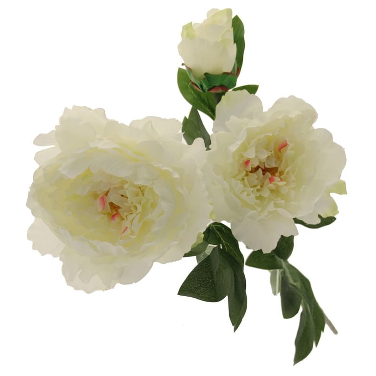 Three Peony Cream 82cm Large Floral Wallpaper for Home Decor - Elegant Garden Design Wall Art