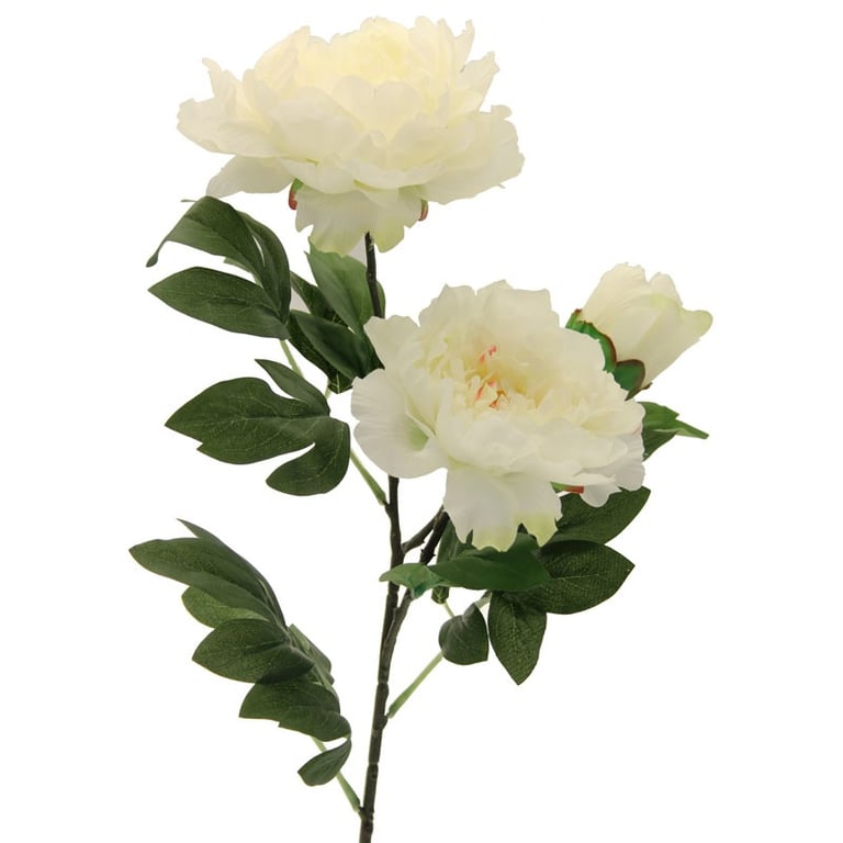 Three Peony Cream 82cm Large Floral Wallpaper for Home Decor - Elegant Garden Design Wall Art