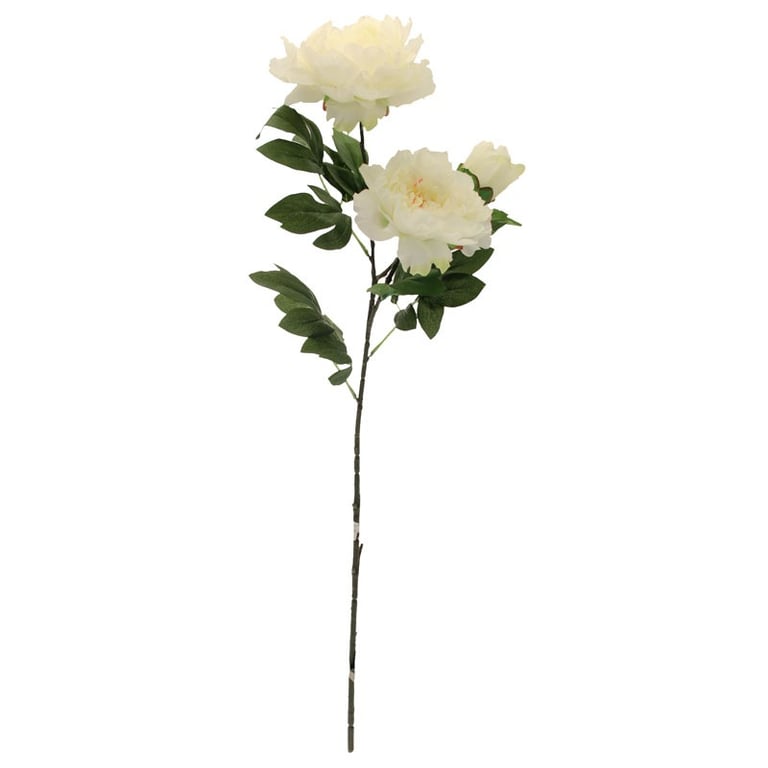 Three Peony Cream 82cm Large Floral Wallpaper for Home Decor - Elegant Garden Design Wall Art