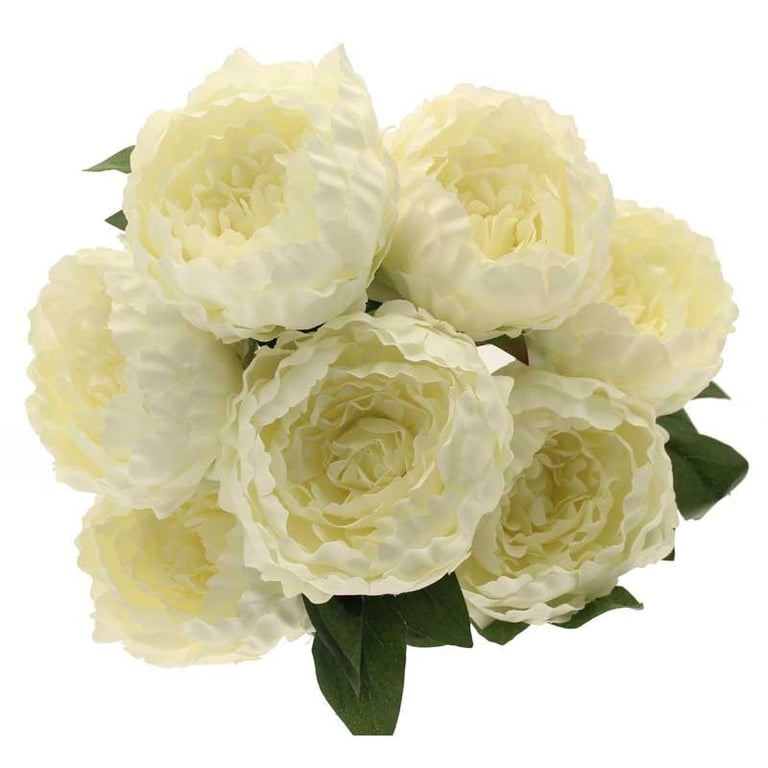 Seven King Peony Bunch Cream - Anti-Aging Moisturizing Beauty Cream for Skin Care