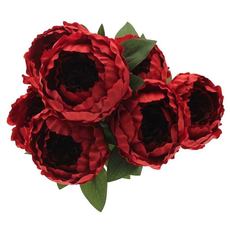 King Peony Bunch Red - Fresh Cut Home Decor Flowers Bouquet for Garden Decoration