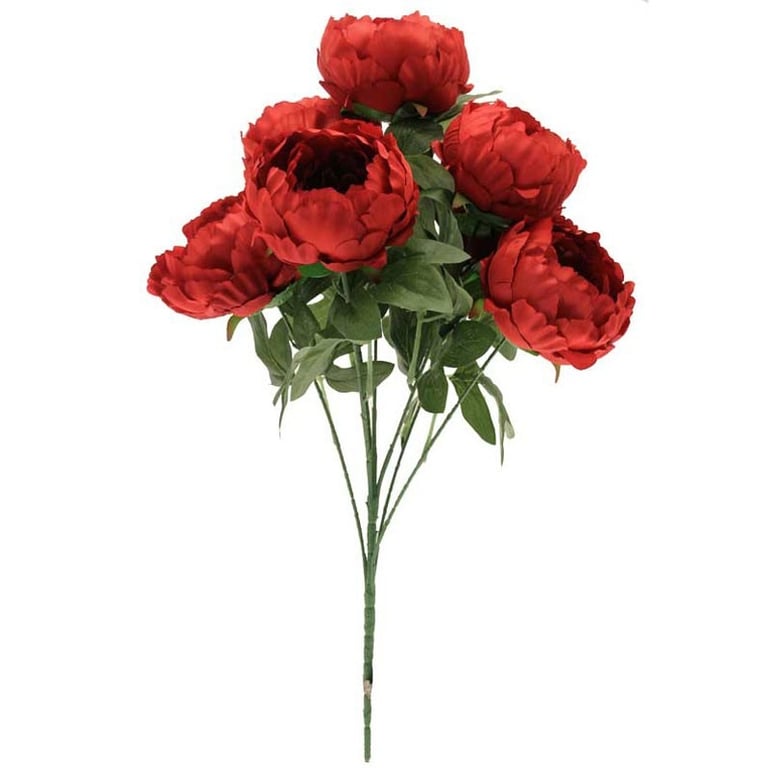 King Peony Bunch Red - Fresh Cut Home Decor Flowers Bouquet for Garden Decoration