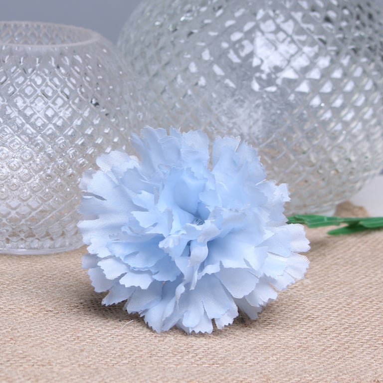 Baby Blue Single Carnations - 12 Fresh Cut Stems Perfect for Wedding Bouquets and Home Decor
