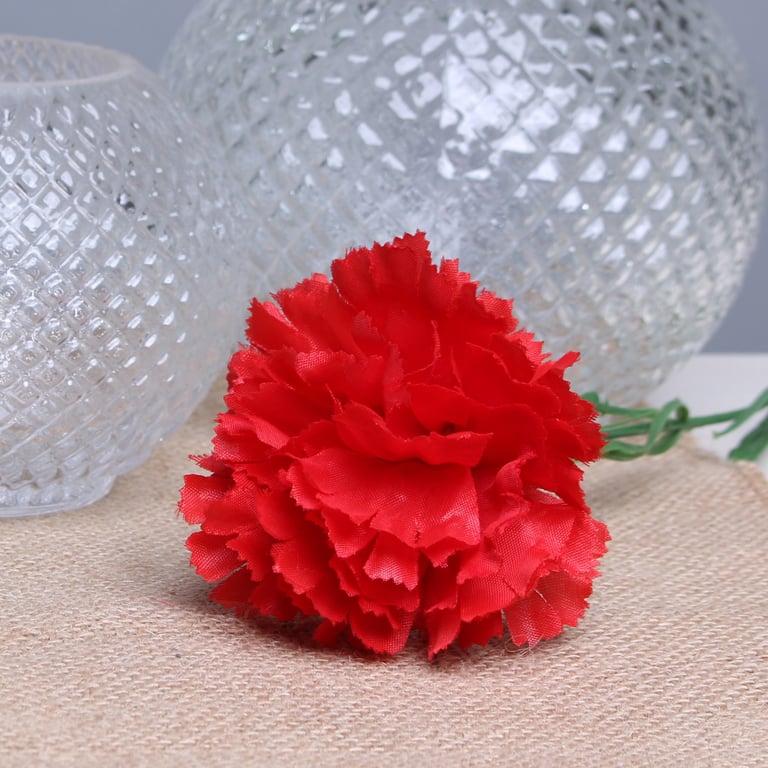 Red Single Carnations - 12 Stems Fresh Flower Bouquet for Home Decor and Floral Arrangement