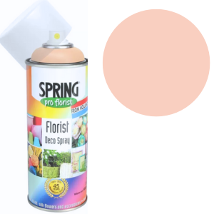 Light Rose Euro-Aerosols Spray Paint - Quick and Easy Wall Decorating Solution for Home Interiors