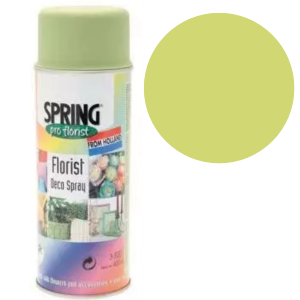 Lemon Lime Euro-Aerosol Spray Paint - Quick-Drying, Easy Aerosol Can Decorating for Home Decor and Furniture