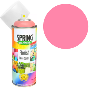 Rose Euro-Aerosol Spray Paint - Durable Rustic Wall Art and Outdoor Mural Paint