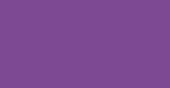 Regal Purple Euro-Aerosols Spray Paint - High-Quality Wall Art and Home Decor Paint for Interior Painting and Crafting