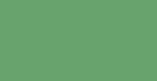 Signal Green Euro-Aerosols Spray Paint - High-Quality Wall and Home Decor Painting Solution