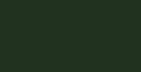 Moss Green Euro-Aerosols Spray Paint - Eco-Friendly Home Decor Wall Stencil Paint