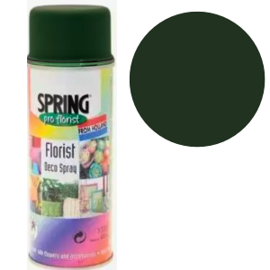 Moss Green Euro-Aerosols Spray Paint - Eco-Friendly Home Decor Wall Stencil Paint