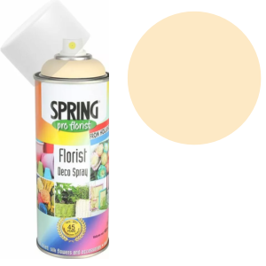 Champagne Euro-Aerosols Spray Paint - Artistic Aerosol Paint for Walls and Home Decor