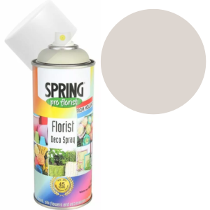 Platinum Grey Euro-Aerosols Spray Paint - Durable Home Decor Finish for Metal & Furniture