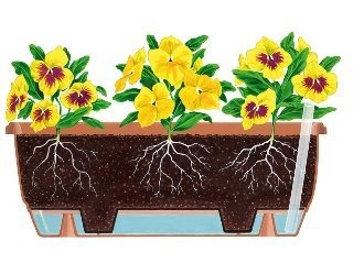 Stewart 50cm Balconniere Trough - Green Home Garden Planter for Outdoor Balcony Gardening