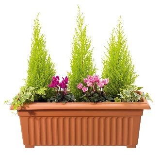 Stewart 70cm Corinthian Terracotta Planter - Ornamental Trough for Home Gardening and Outdoor Decor