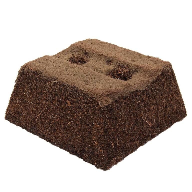 Oasis Terra Brick Floral Media - Durable Home Decor for Indoor and Outdoor Planters, Garden Decoration Set of 8 Bricks