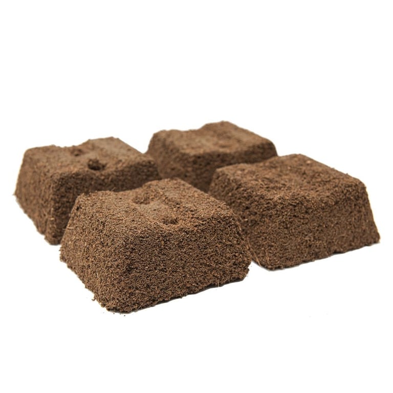 Oasis Terra Brick Floral Media - Durable Home Decor for Indoor and Outdoor Planters, Garden Decoration Set of 8 Bricks