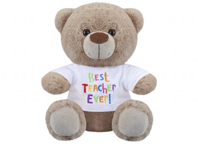 8 Inch Best Teacher Bear - Educational Soft Plush Toy for Classroom Decor