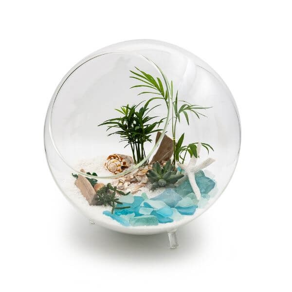 Nautical Beach Terrarium Filler Kit - Complete Indoor Garden Decor Home & Garden Accessory