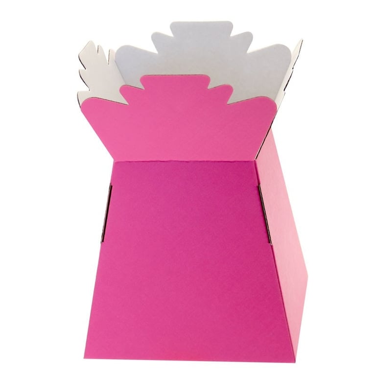Hot Pink Living Vases - Fashionable Home Decor Accents for Your Room