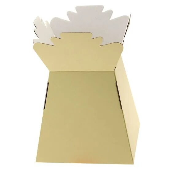 Cream Living Vase Set - Elegant Indoor Plant Holders with Decorative Home Accents