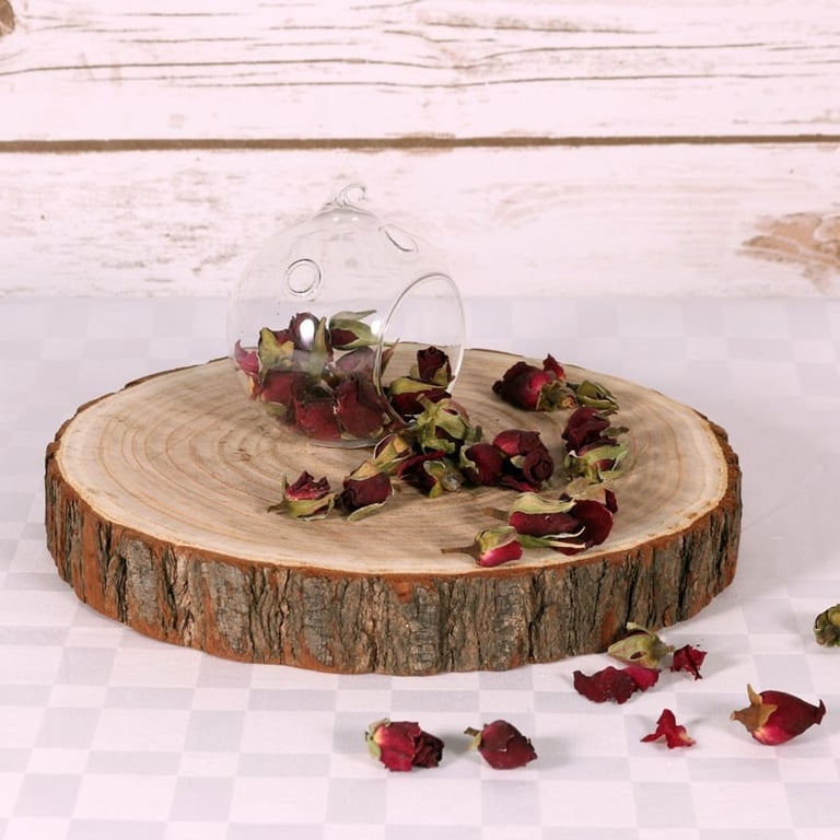 Natural Wood Slice (L) - Rustic Wall Art for Home Decor