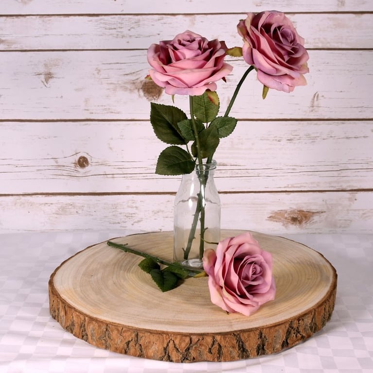 Large Natural Wood Slice - XL Indoor Plant Holder & Garden Decoration