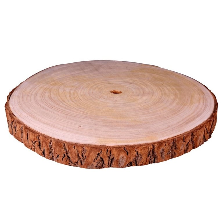 Large Natural Wood Slice - XL Indoor Plant Holder & Garden Decoration
